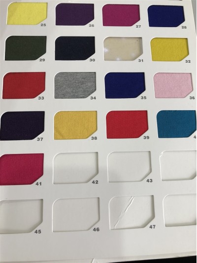 GZ-LTTG  20S棉小衛衣(食毛) DG0041 240-250G 正面照